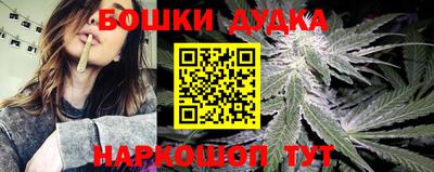 ECSTASY Новодвинск
