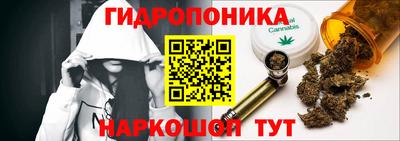 ECSTASY Новодвинск